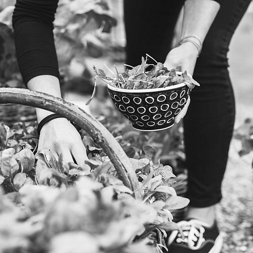 Entspannen im Garten: 4-Sterne-Hotel Gargellen Entspannen im Garten: 4-Sterne-Hotel Gargellen