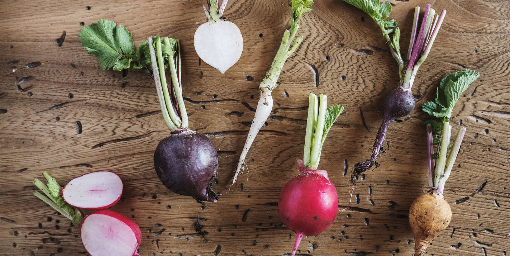 Relax in the garden of Heimspitze 4-star hotel Gargellen Relax in the garden of Heimspitze 4-star hotel Gargellen