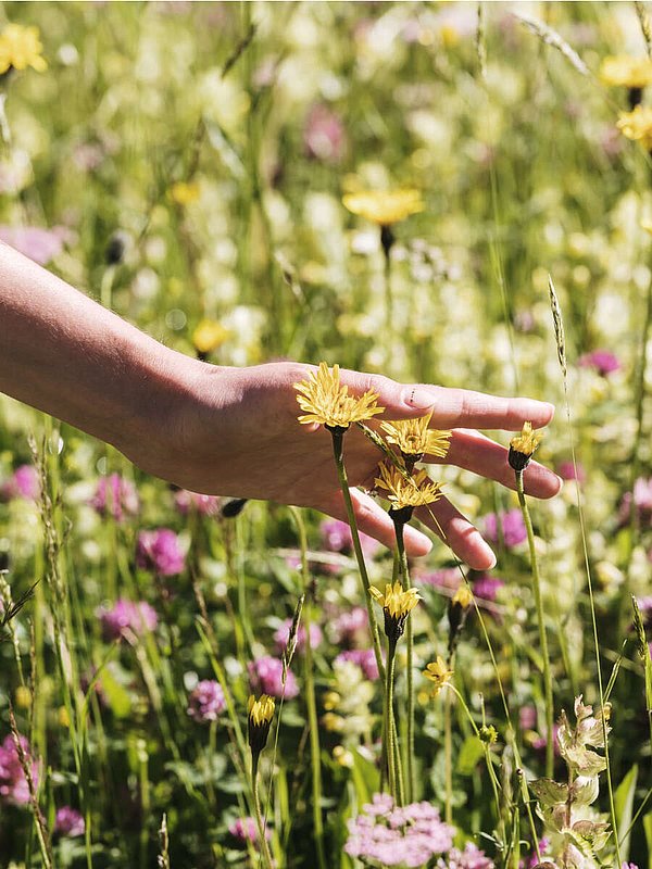 Relax in the garden of Heimspitze 4-star hotel Gargellen Relax in the garden of Heimspitze 4-star hotel Gargellen
