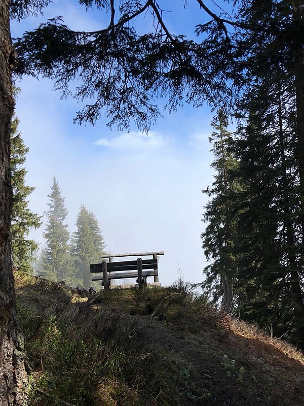 Summer holiday Montafon: most beautiful at Heimspitze Summer holiday Montafon: most beautiful at Heimspitze