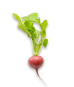 Entdecken Sie unser Hotel mit Sauna, Montafon, Gargellen Entdecken Sie unser Hotel mit Sauna, Montafon, Gargellen